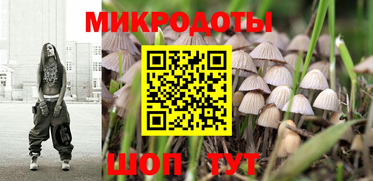 Галлюциногенные грибы Magic Shrooms Будённовск